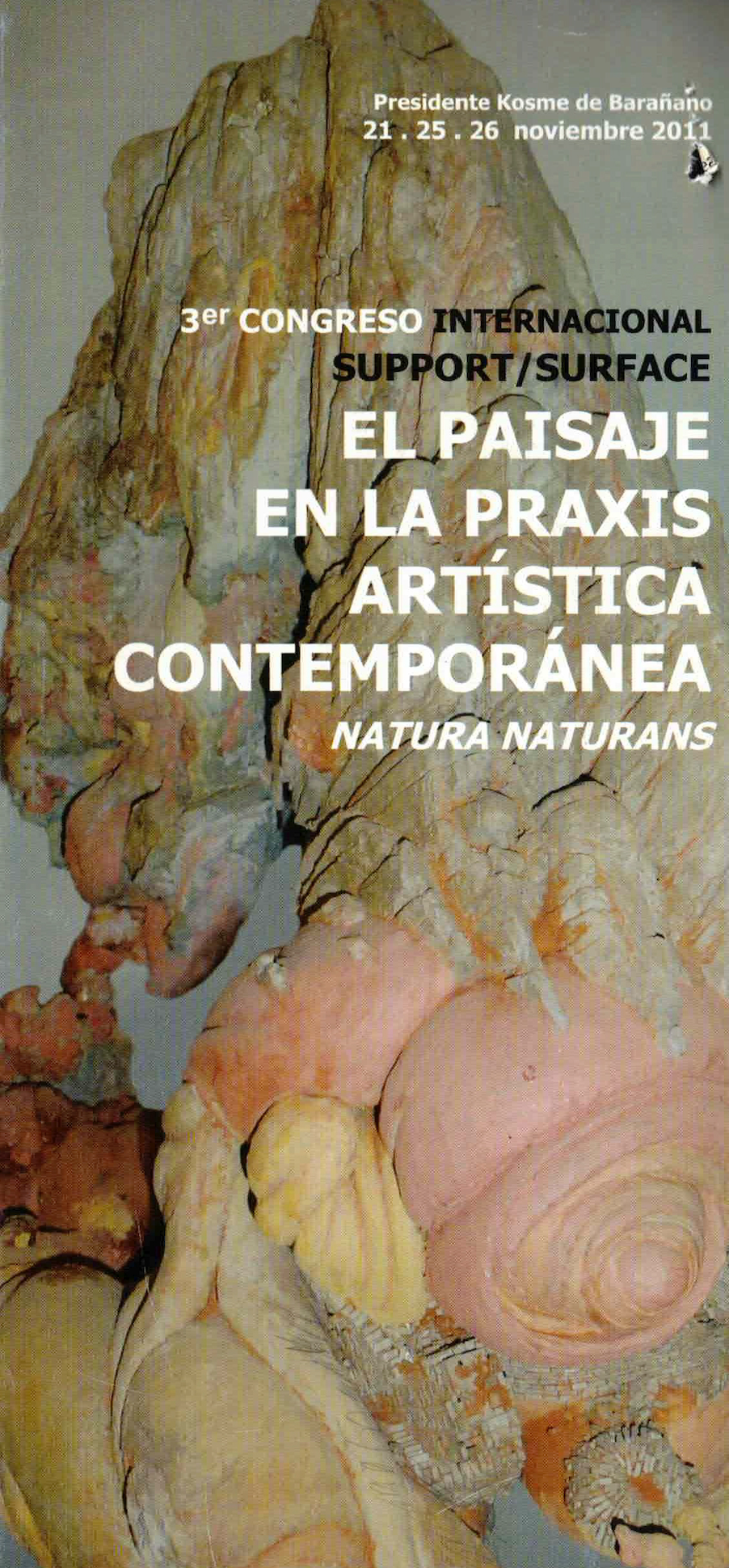 Support Surface 2011